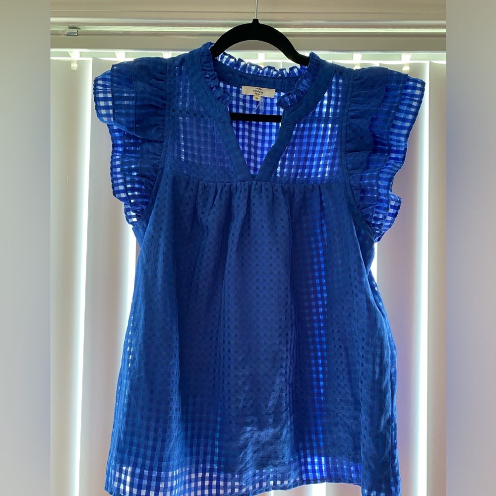 Blue Chiffon Ruffle Sleeve Blouse